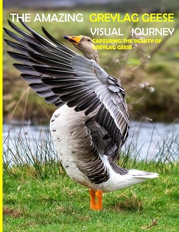 the amazing greylag geese visual journey capturing the beauty of greylag geese coffee table picture book or