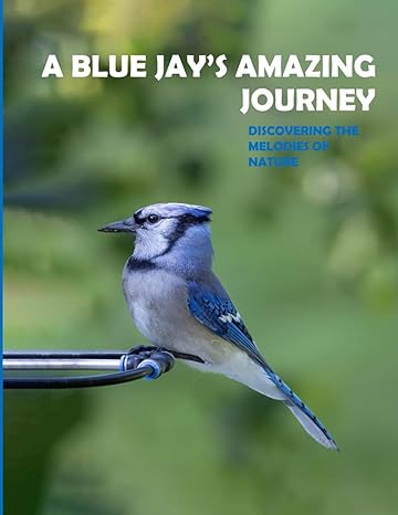a blue jays amazing journey discovering the melodies of nature coffee table picture book or perfect gift for