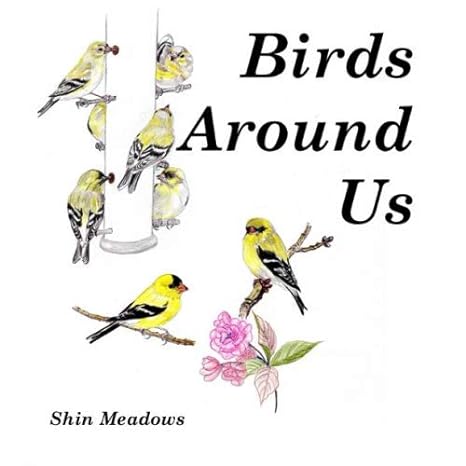 birds around us our winter friends in the mid atlantic region 1st edition shin meadows b0851lk13d,