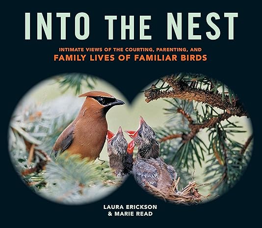 into the nest intimate views of the courting parenting and family lives of familiar birds 1st edition laura
