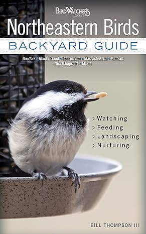 Northeastern Birds Backyard Guide Watching Feeding Landscaping Nurturing New York Rhode Island Connecticut Massachusetts Vermont New Maine