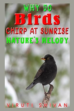why do birds chirp at sunrise natures melody exploring the morning melodies of avian wonders 1st edition