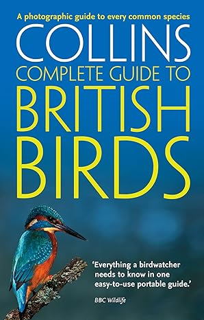 british birds a photographic guide to every common species 1st edition paul sterry 0007236867, 978-0007236862