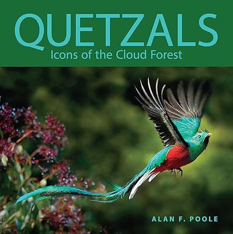 quetzals icons of the cloud forest 1st edition alan f poole 150177221x, 978-1501772214