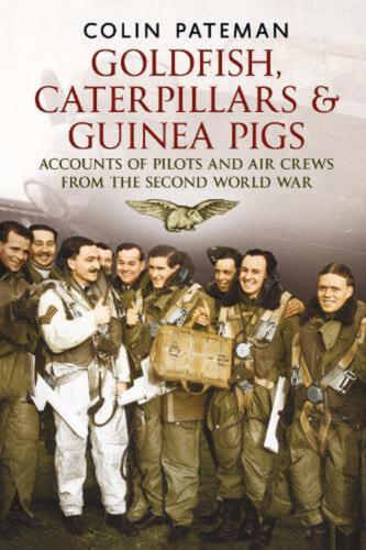 goldfish caterpillars and guinea pigs accounts of pilots and air crews from world war 1st edition colin