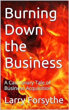 burning down the business a cautionary tale of business acquisition 1st edition larry a forsythe b09lr5p3jg