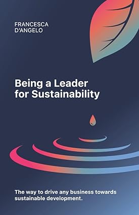 being a leader for sustainability the way to drive any business towards sustainable development 1st edition