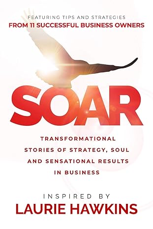 soar transformational stories of strategy soul and sensational results 1st edition laurie hawkins ,tracy