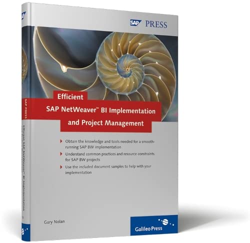 efficient sap netweaver bi implementation and project management safely weather the challenges of your sap bw