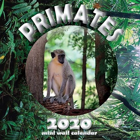 primates 2020 mini wall calendar 1st edition wall publishing 1642525189, 978-1642525182
