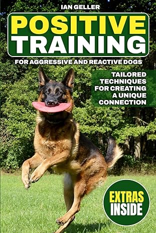 positive training for aggressive and reactive dogs creating a unique connection tailored positive techniques