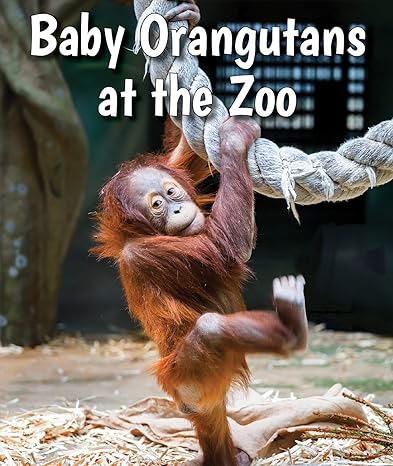 baby orangutans at the zoo 1st edition cecelia h brannon 0766079171, 978-0766079175