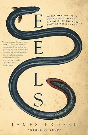 eels an exploration from new zealand to the sargasso of the worlds most mysterious fish 1st edition james