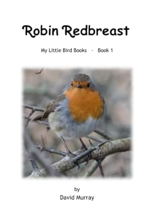 robin redbreast my little bird books no 1 1st edition david john murray b0c1jcn66n, 979-8386319328