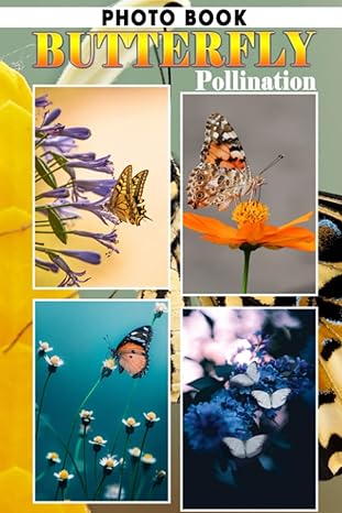 butterfly pollination photo book stunning colorful images for all ages to relieve stress and get creative