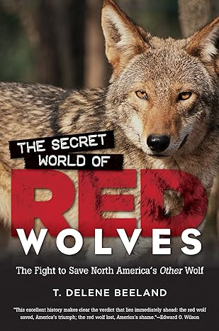 The Secret World Of Red Wolves The Fight To Save North Americas Other Wolf