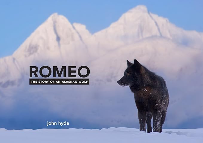 romeo the story of an alaskan wolf 1st edition john hyde 159373106x, 978-1593731069