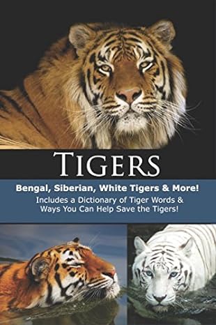 tigers bengal siberian white tigers and more 1st edition explore series ,james willoughby 1983019984,