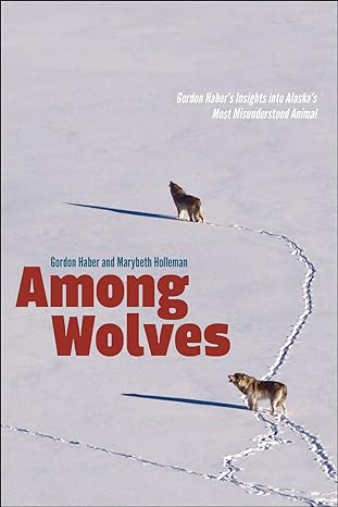 among wolves gordon habers insights into alaskas most misunderstood animal 1st edition marybeth holleman