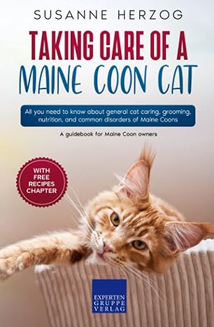 taking care of a maine coon cat all you need to know about general cat caring grooming nutrition and common