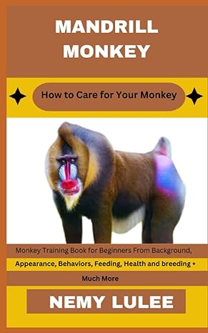 mandrill monkey how to care for your monkey monkey training book for beginners from background appearance
