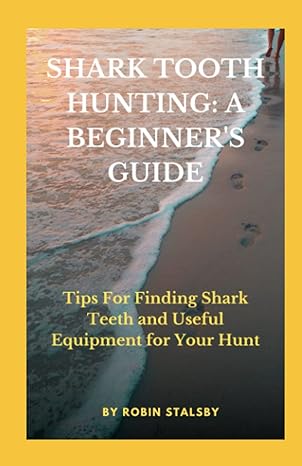 shark tooth hunting a beginners guide tips for finding shark teeth and useful equipment for your hunt 1st
