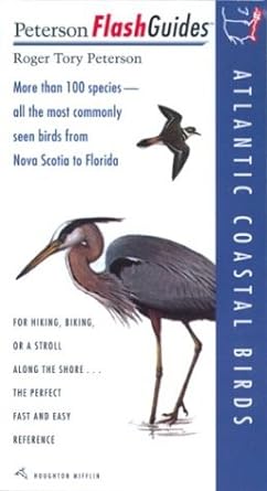 petersons flashguides atlantic coastal birds 1st edition roger tory peterson institute 039579286x,