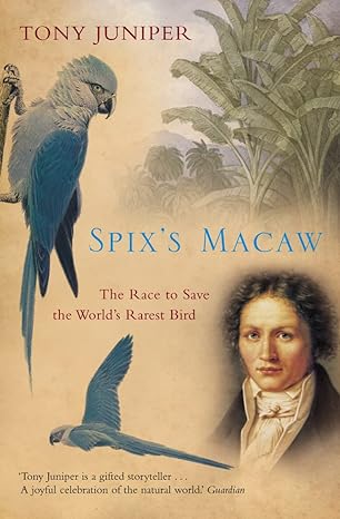 spixs macaw the race to save the worlds rarest bird 1st edition tony juniper 1841156515, 978-1841156514