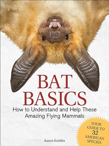 bat basics how to understand and help these amazing flying mammals 1st edition karen krebbs 1591938430,