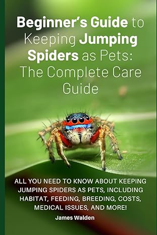 beginners guide to keeping jumping spiders as pets the complete care guide all you need to know about keeping