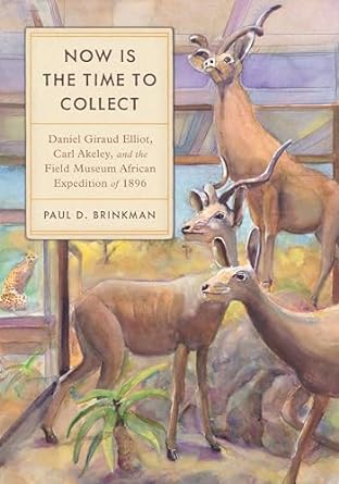now is the time to collect daniel giraud elliot carl akeley and the field museum african expedition of 1896