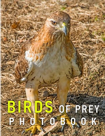 birds of prey photo book character with colorful pages for adult teen to decor as gifts any giving occassion
