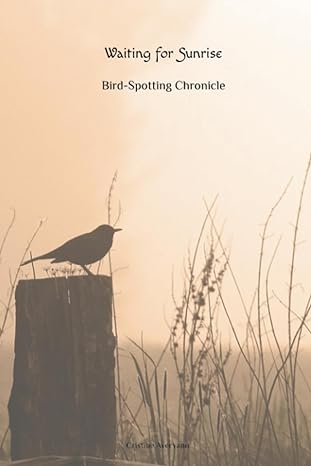 waiting for sunrise bird spotting chronicle 1st edition cristine averyann b0c9sb6y2j