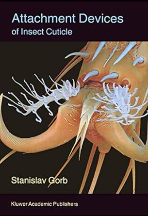 attachment devices of insect cuticle 1st edition stanislav s n gorb 9048157617, 978-9048157617
