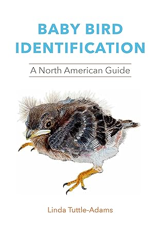 baby bird identification a north american guide 1st edition linda tuttle adams ,rebecca s duerr 1501762850,