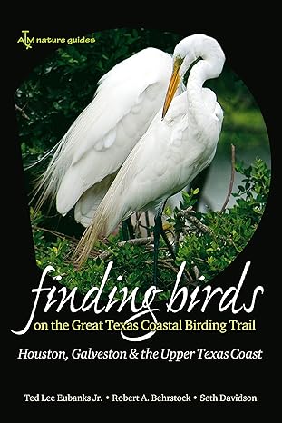 finding birds on the great texas coastal birding trail houston galveston and the upper texas coast 1st