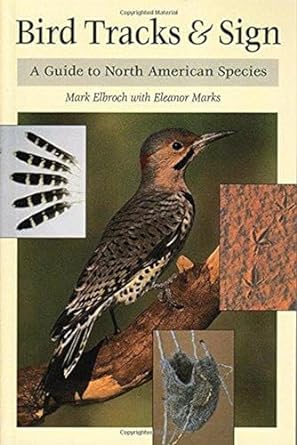 bird tracks and sign a guide to north american species 1st edition mark elbroch ,eleanor marks ,c diane