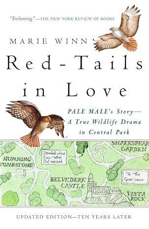 red tails in love a wildlife drama in central park reissue edition marie winn 0679758461, 978-0679758464