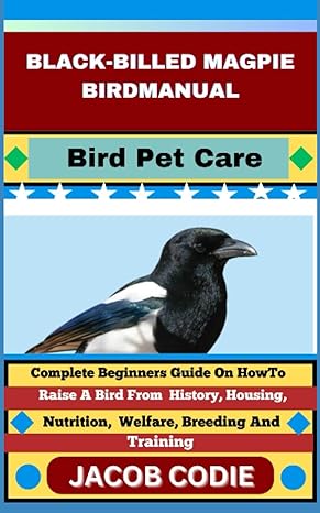 black billed magpie bird manual bird pet care complete beginners guide on how to raise a bird from history