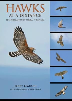 hawks at a distance identification of migrant raptors common 1st edition jerryliguori b00fbc0co6