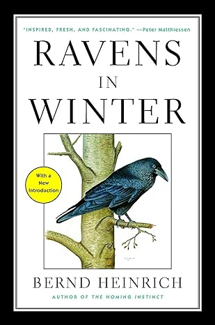 ravens in winter reissue edition bernd heinrich 1476794561, 978-1476794563