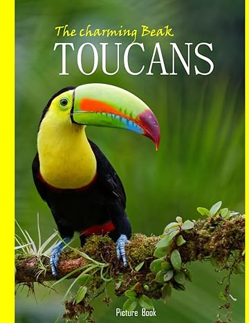 toucans exploring the vibrant world of natures colorful companions 50 sweet images of toucans perfect home