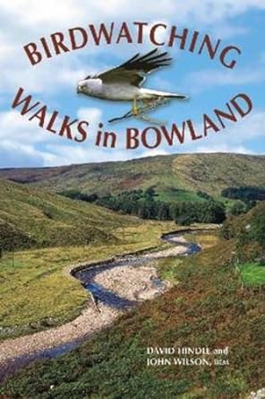 birdwatching walks in bowland 1st edition david john hindle ,john wilson 1874181292, 978-1874181293