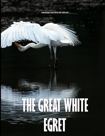 the great white egret a gift book for alzheimers patients and seniors with dementia coffee table picture book
