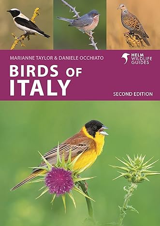 birds of italy second edition 1st edition daniele occhiato ,marianne taylor 1399410644, 978-1399410649