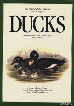ducks a selection from the magnificent illustrations by j j audubon john gould and alexander wilson first