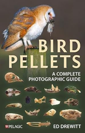 bird pellets a complete photographic guide 1st edition ed drewitt 1784274712, 978-1784274719