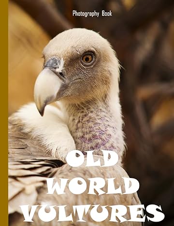 old world vultures 40 images of the most important and unique birds living in the world perfect gift coffee