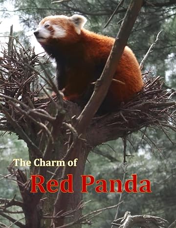 the charm of red panda discovering the beauty and mystery of red panda habitats a photographic tale of