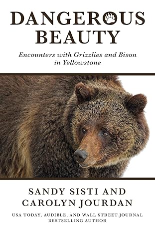 dangerous beauty encounters with grizzlies and bison in yellowstone 1st edition carolyn jourdan ,sandy sisti